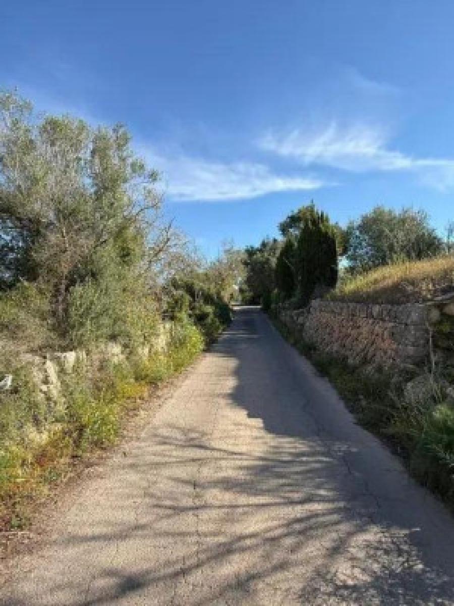 Finca en Venta en Llucmajor