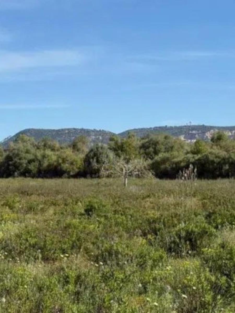 Finca en Venta en Llucmajor