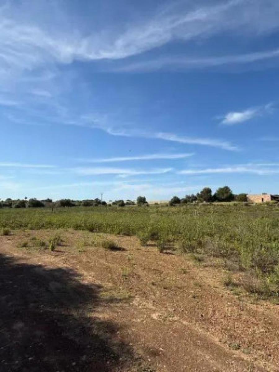 Finca en Venta en Llucmajor