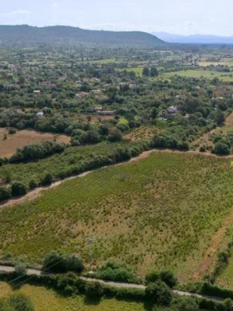 Finca en Venta en Llucmajor
