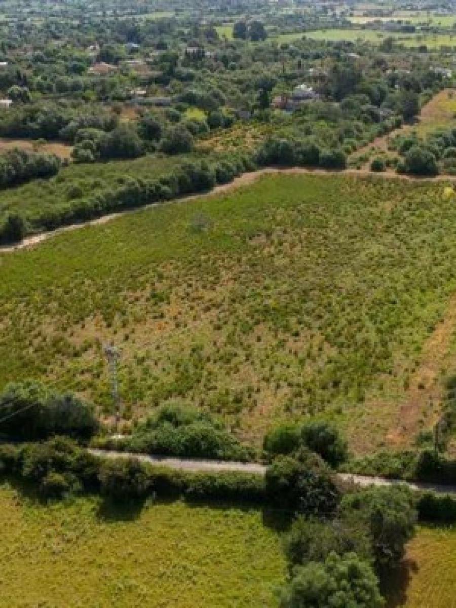 Finca en Venta en Llucmajor