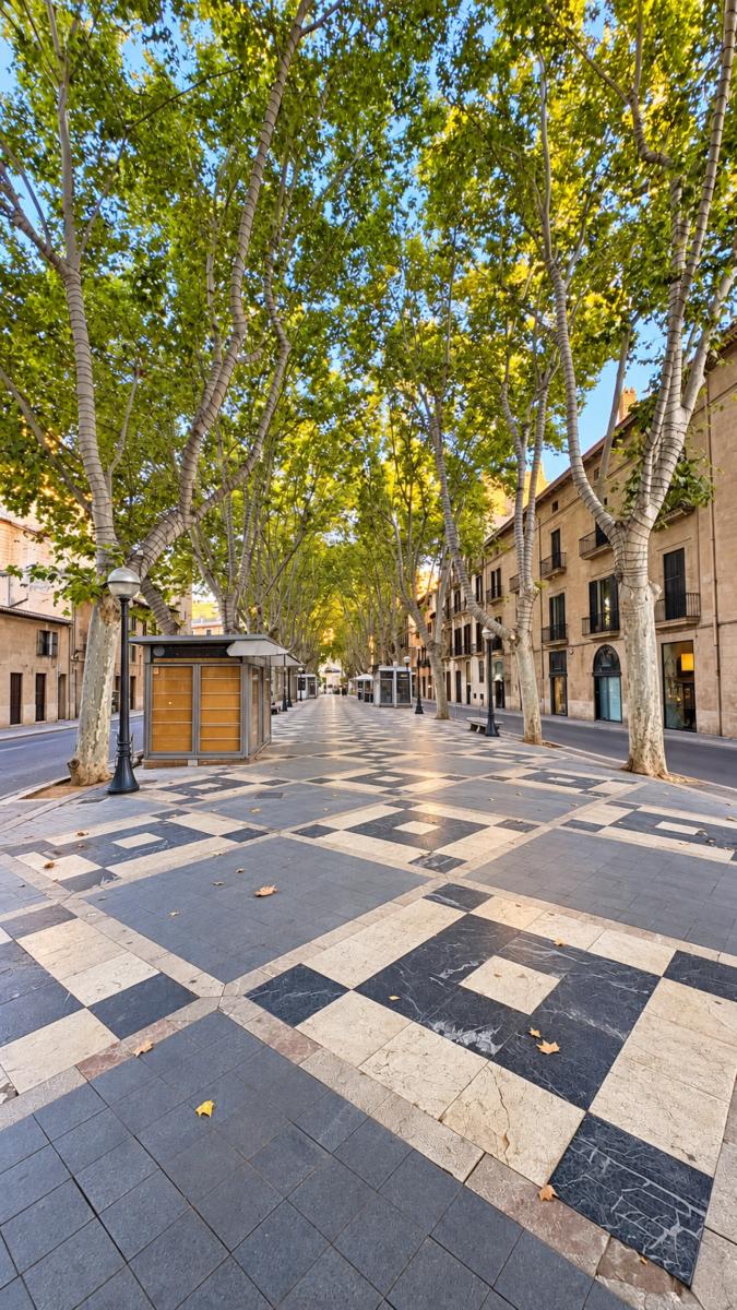 Piso en Venta en Palma de Mallorca