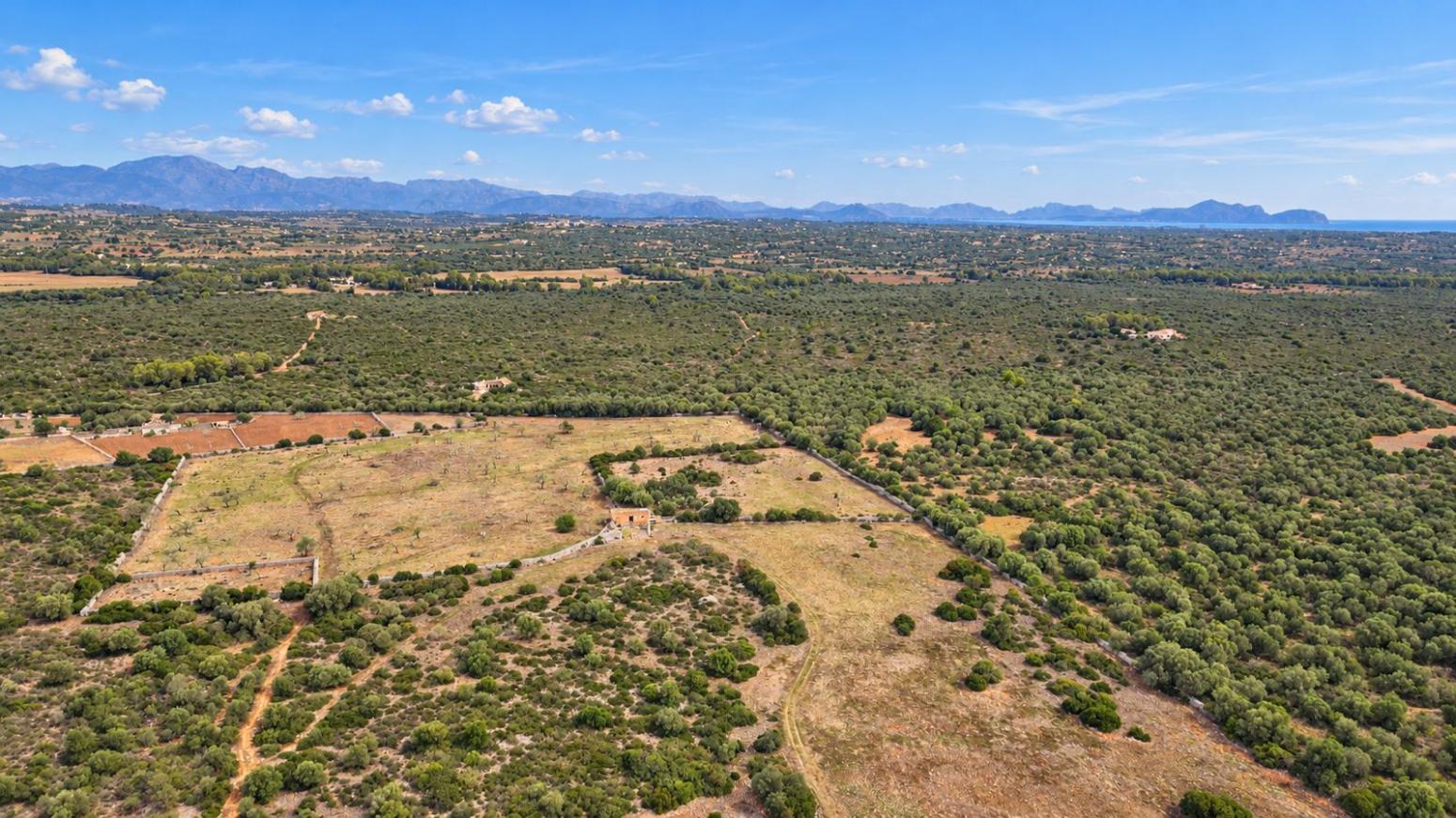 Finca en Venta en Ariany