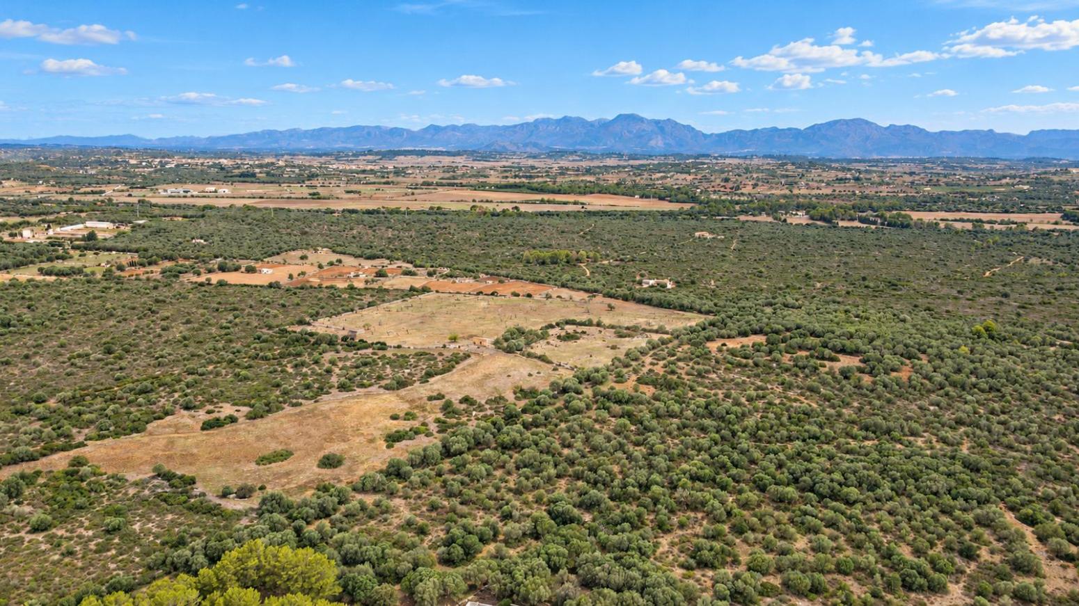 Finca en Venta en Ariany