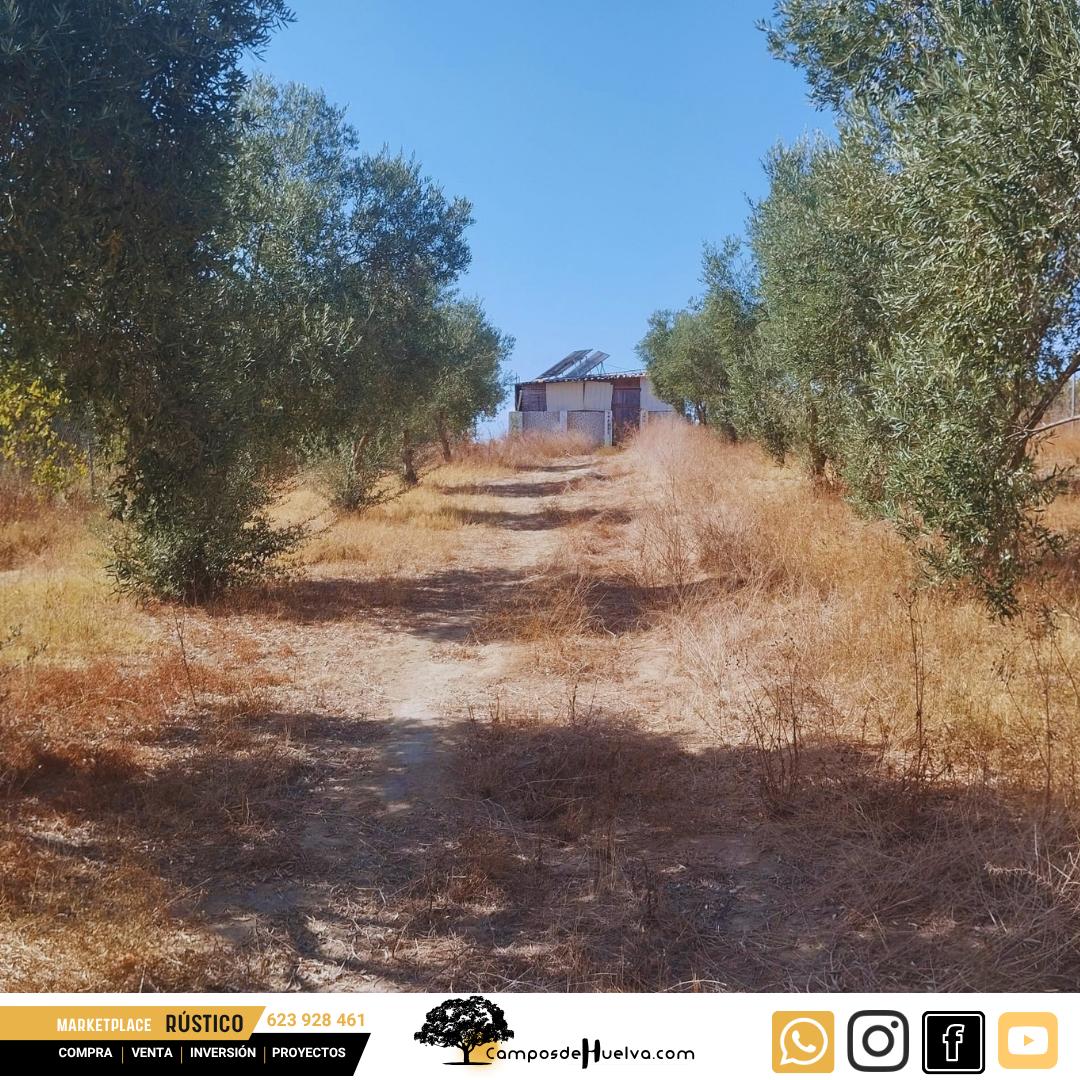 Finca en Venta en Bollullos Par del Condado