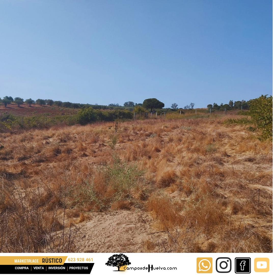 Finca en Venta en Bollullos Par del Condado