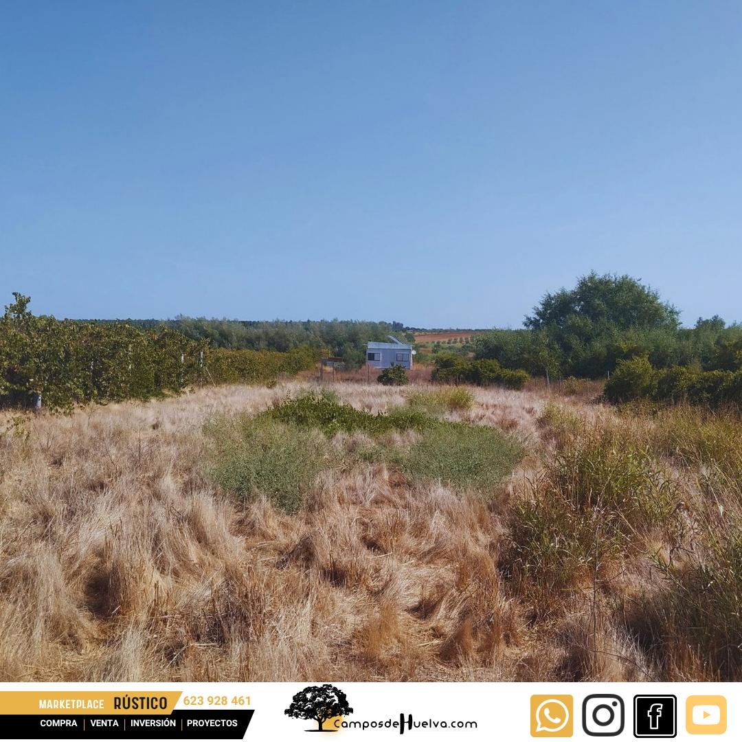 Finca en Venta en Bollullos Par del Condado