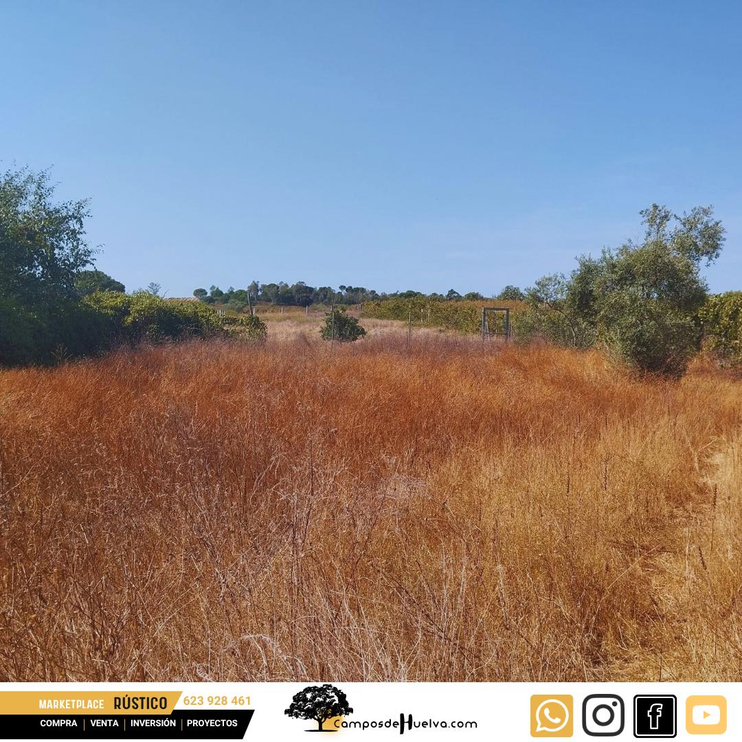 Finca en Venta en Bollullos Par del Condado