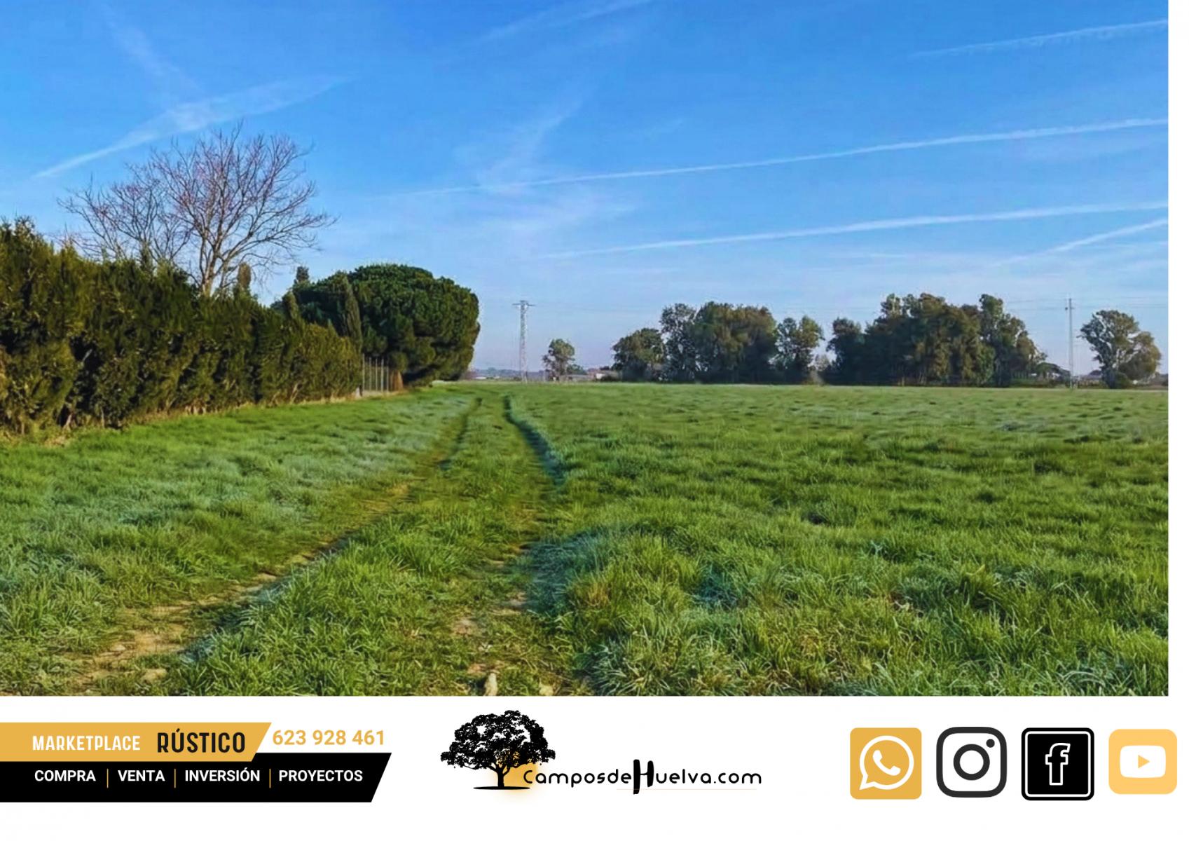 Finca en Venta en Gibraleón