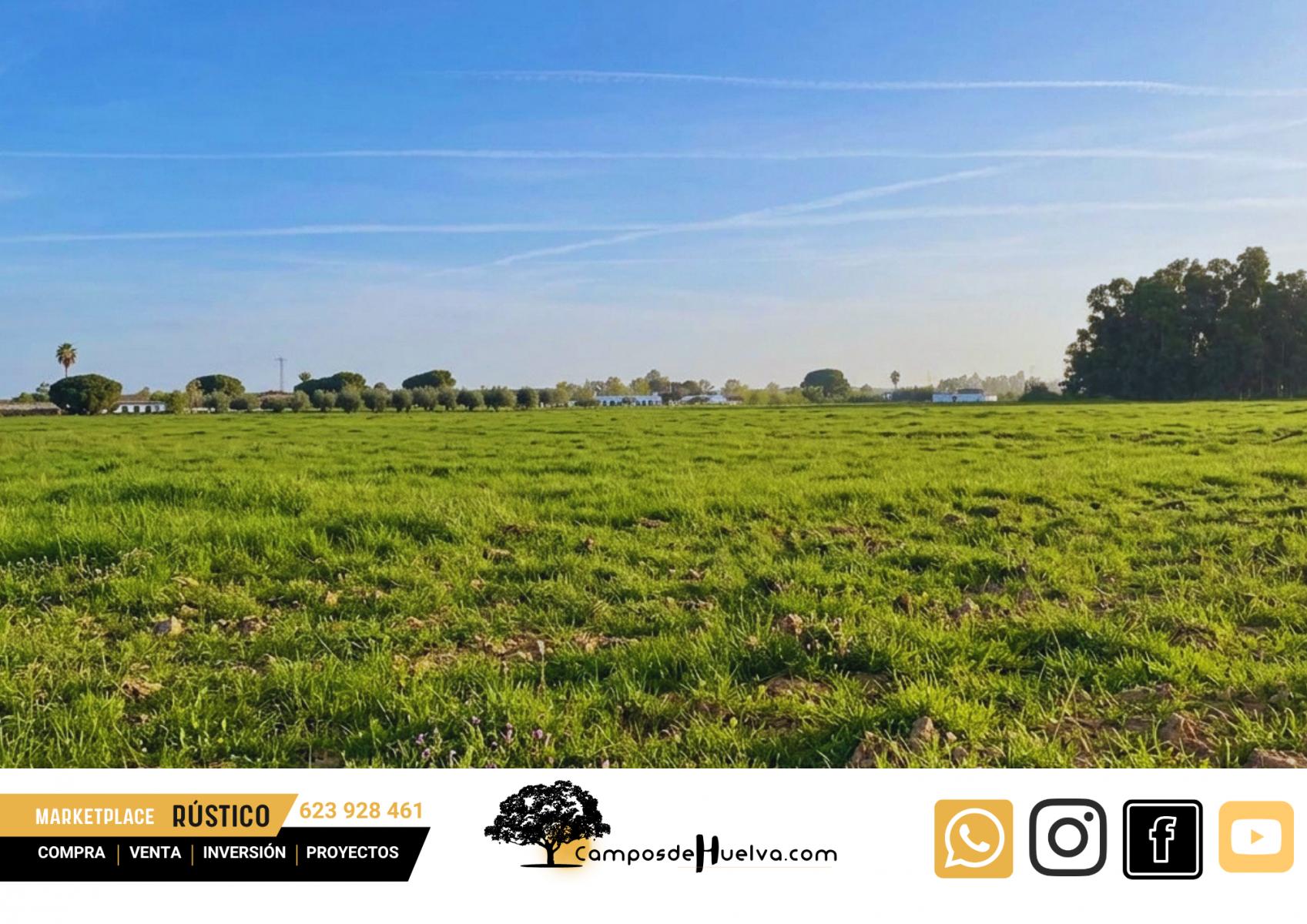 Finca en Venta en Gibraleón