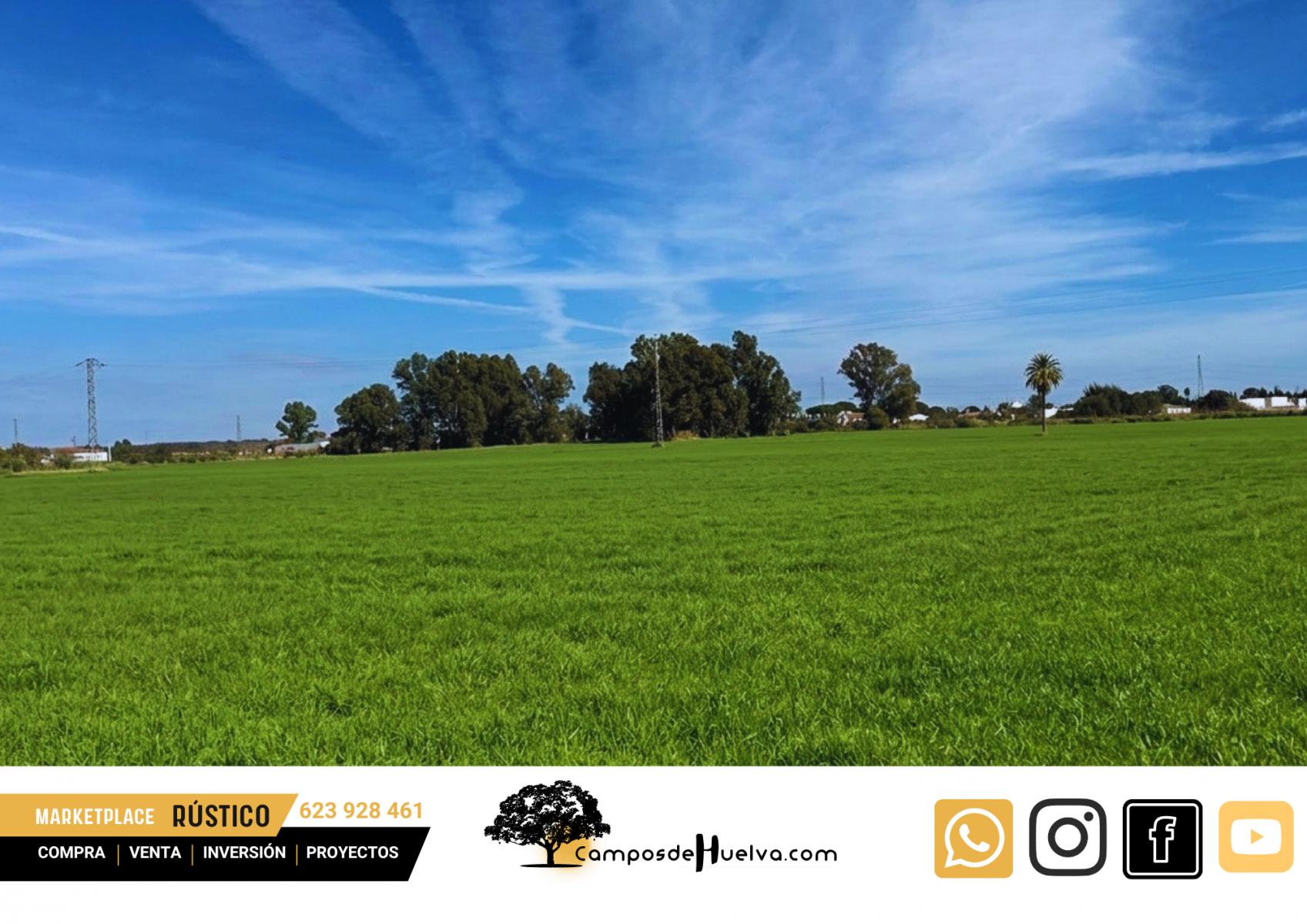 Finca en Venta en Gibraleón