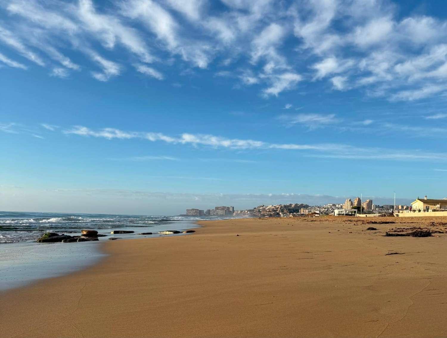 Estudio en Alquiler turístico en Torrevieja