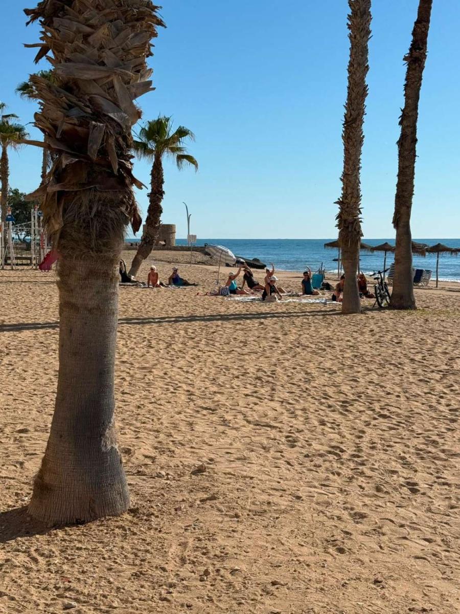 Estudio en Alquiler turístico en Torrevieja