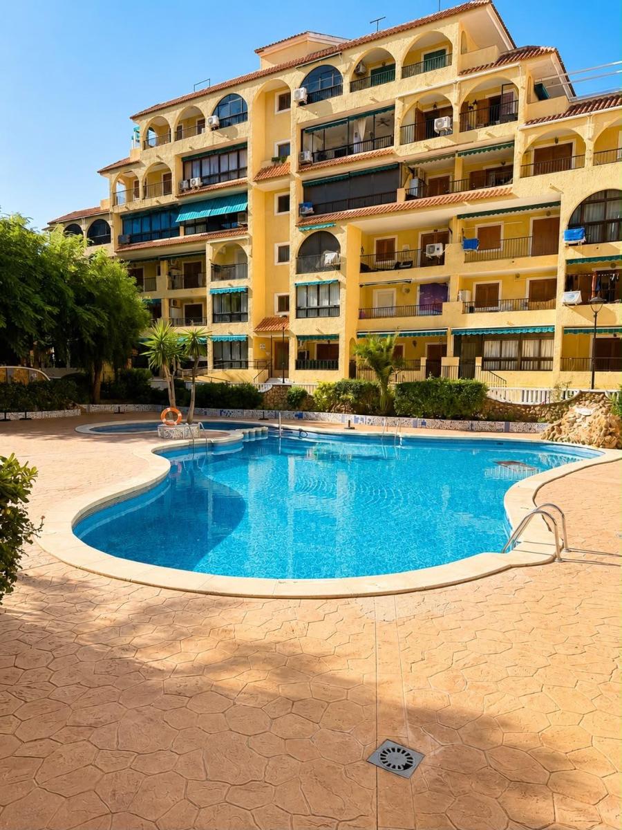 Estudio en Alquiler turístico en Torrevieja