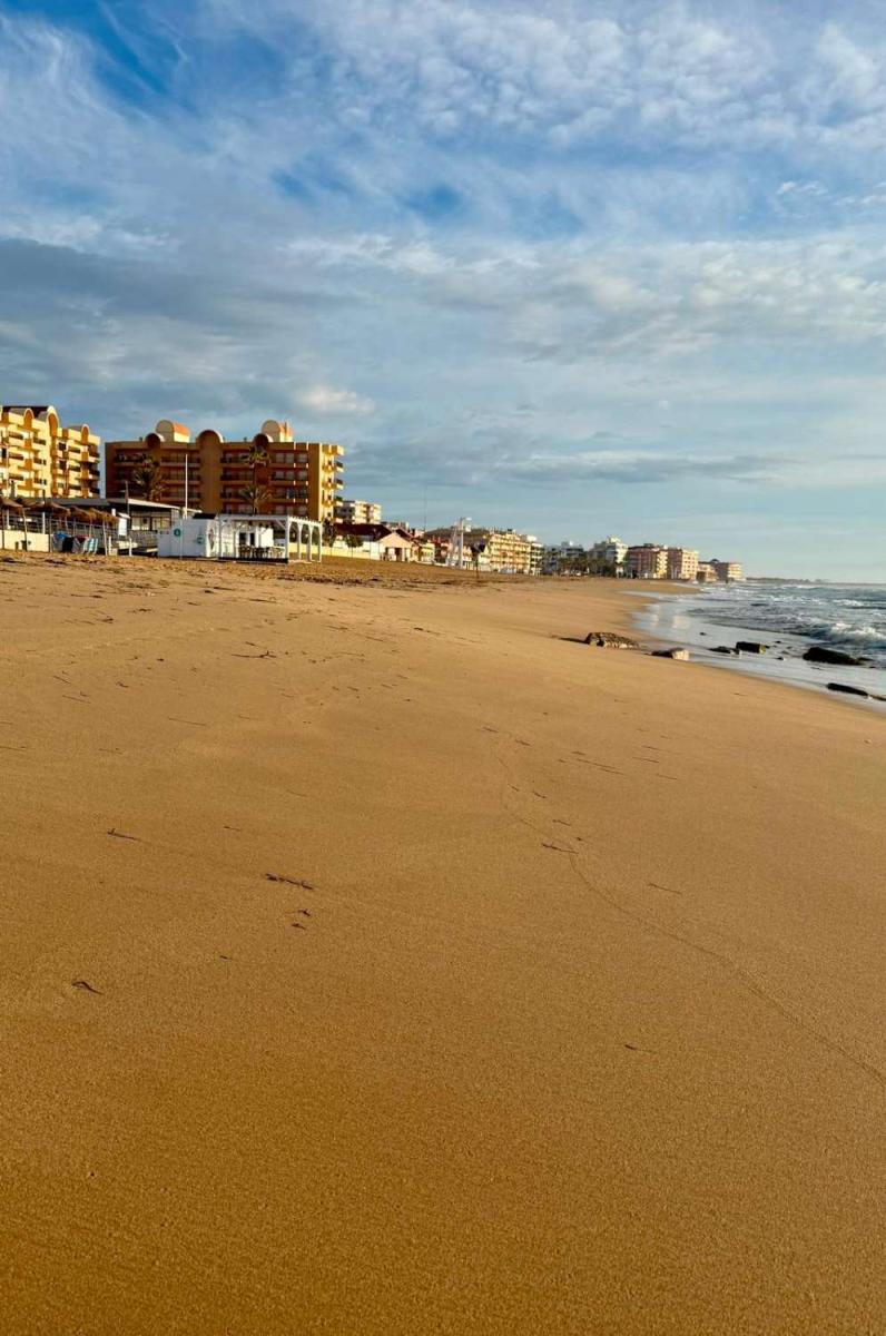 Estudio en Alquiler turístico en Torrevieja