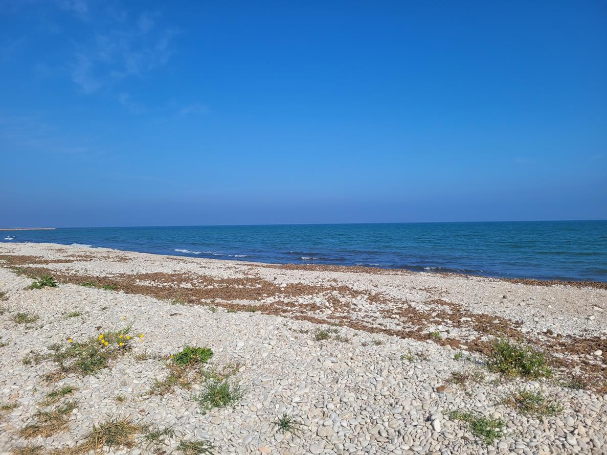 Adosado en Venta en Dénia