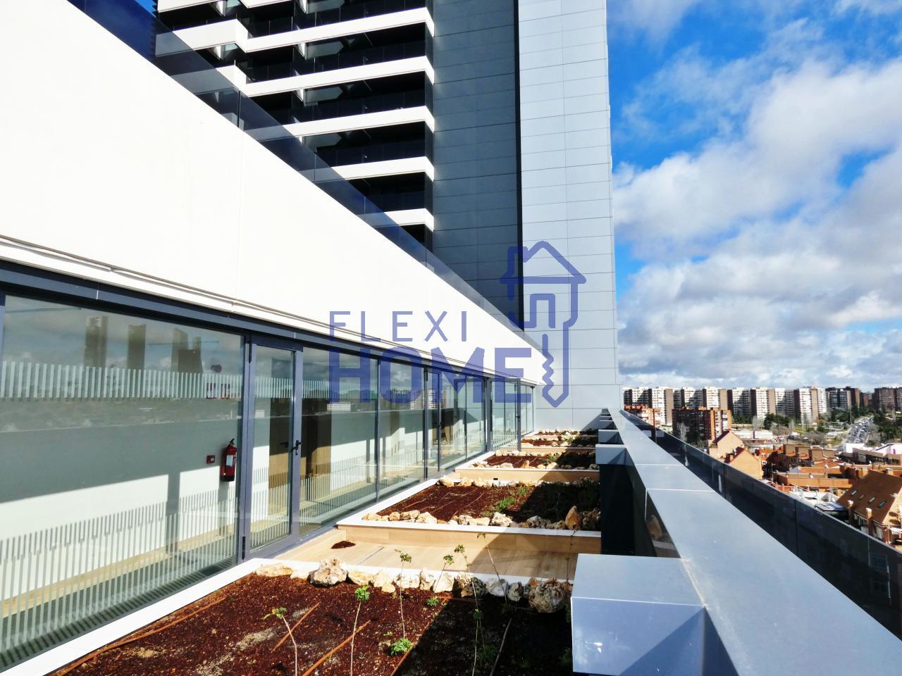 Flat for Rent in Madrid