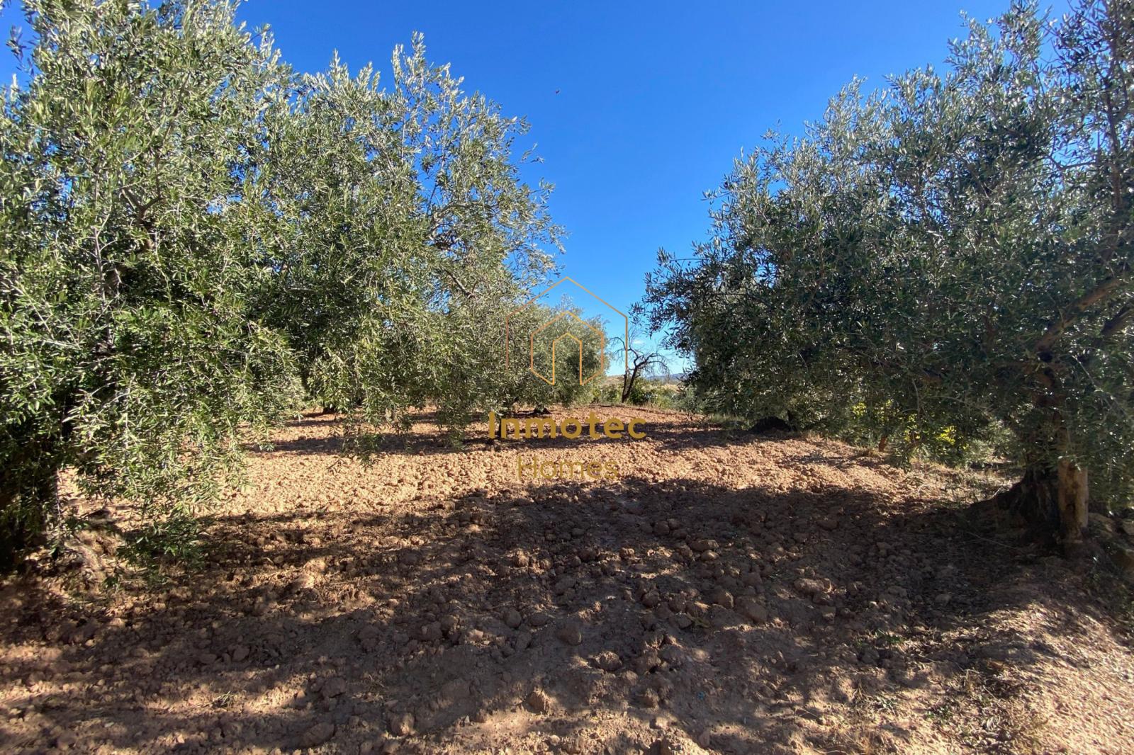 Casa en Venta en Vélez-Rubio