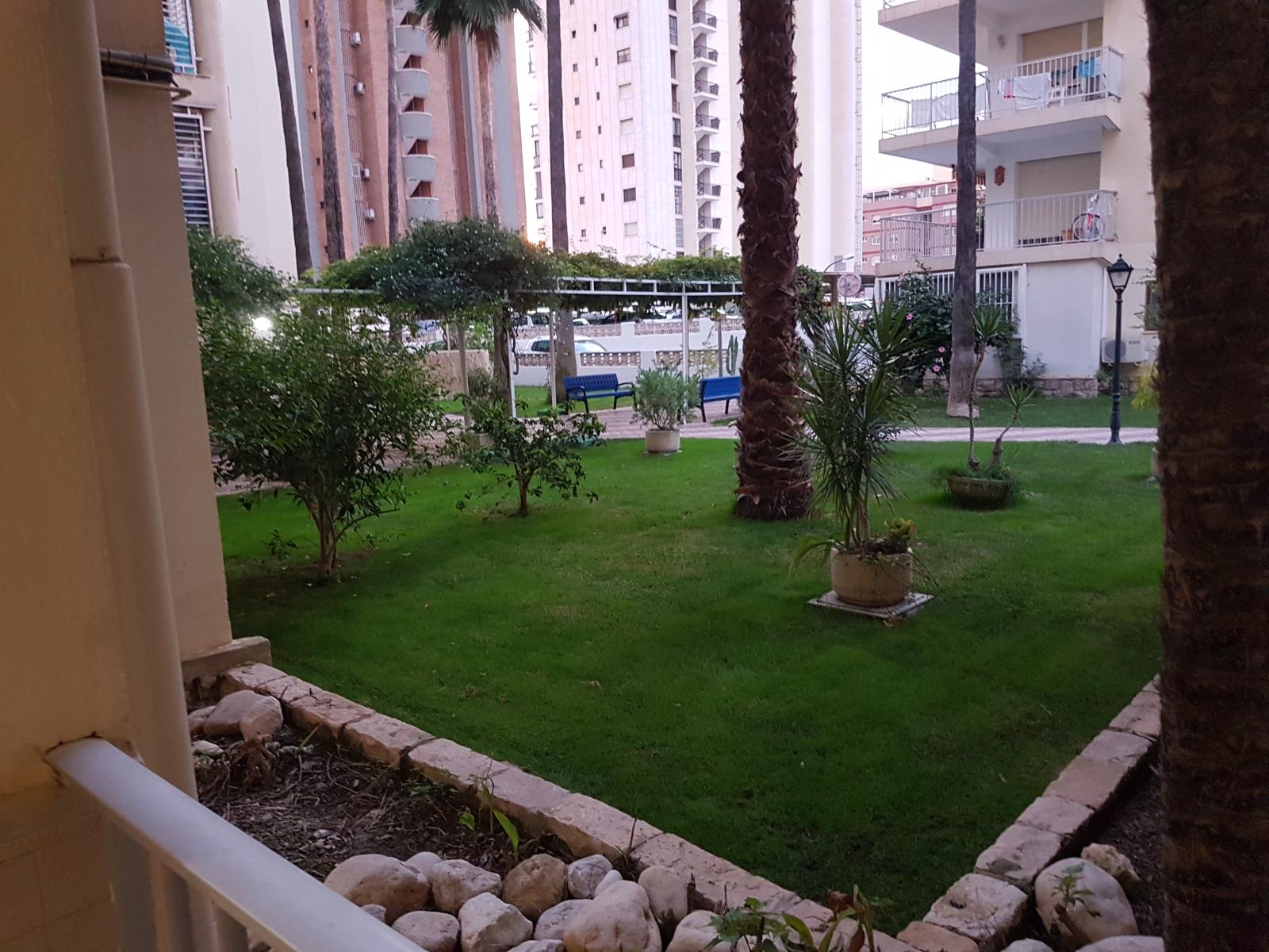 Apartment for Rent in Benidorm