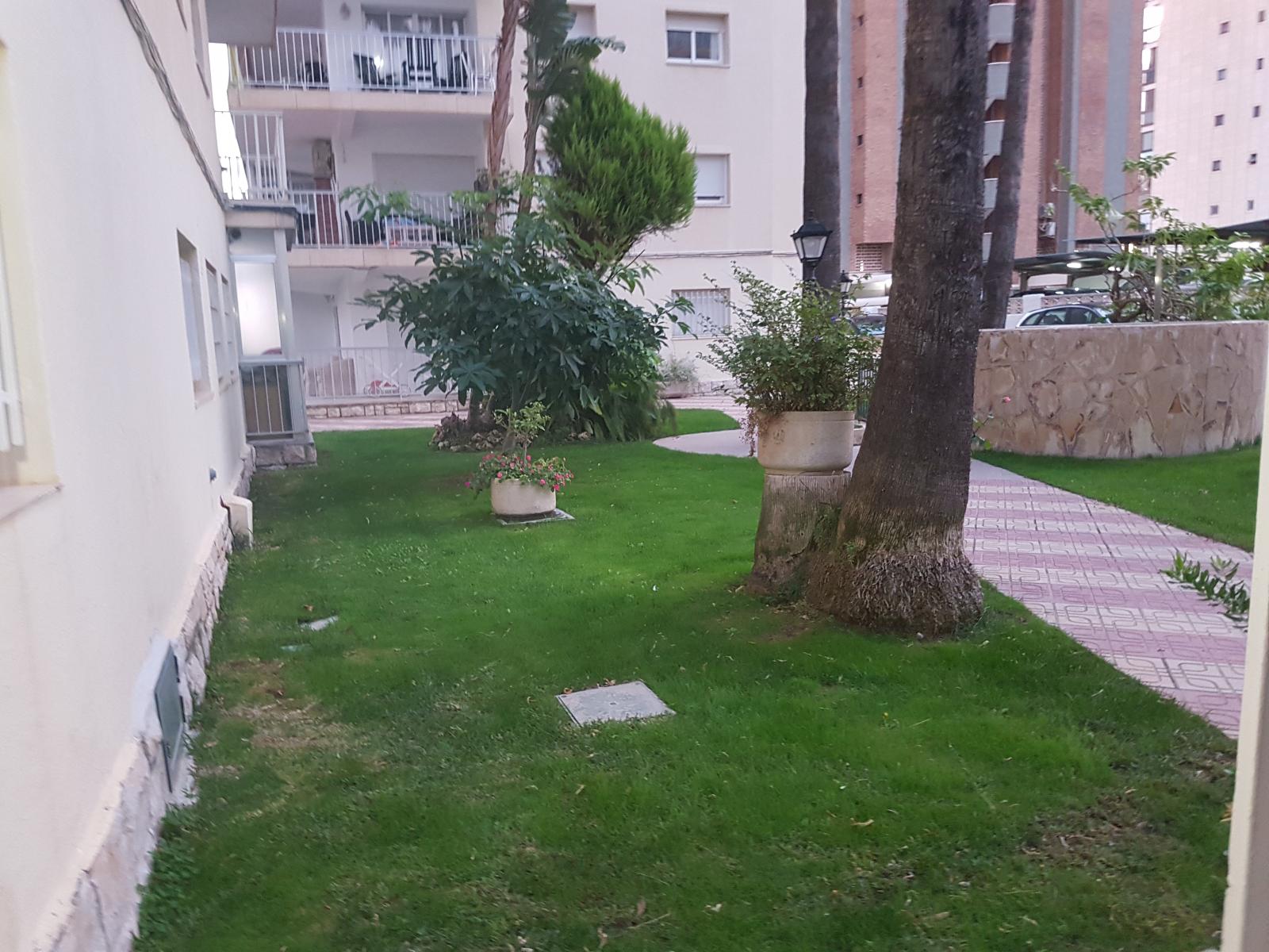 Apartment for Rent in Benidorm