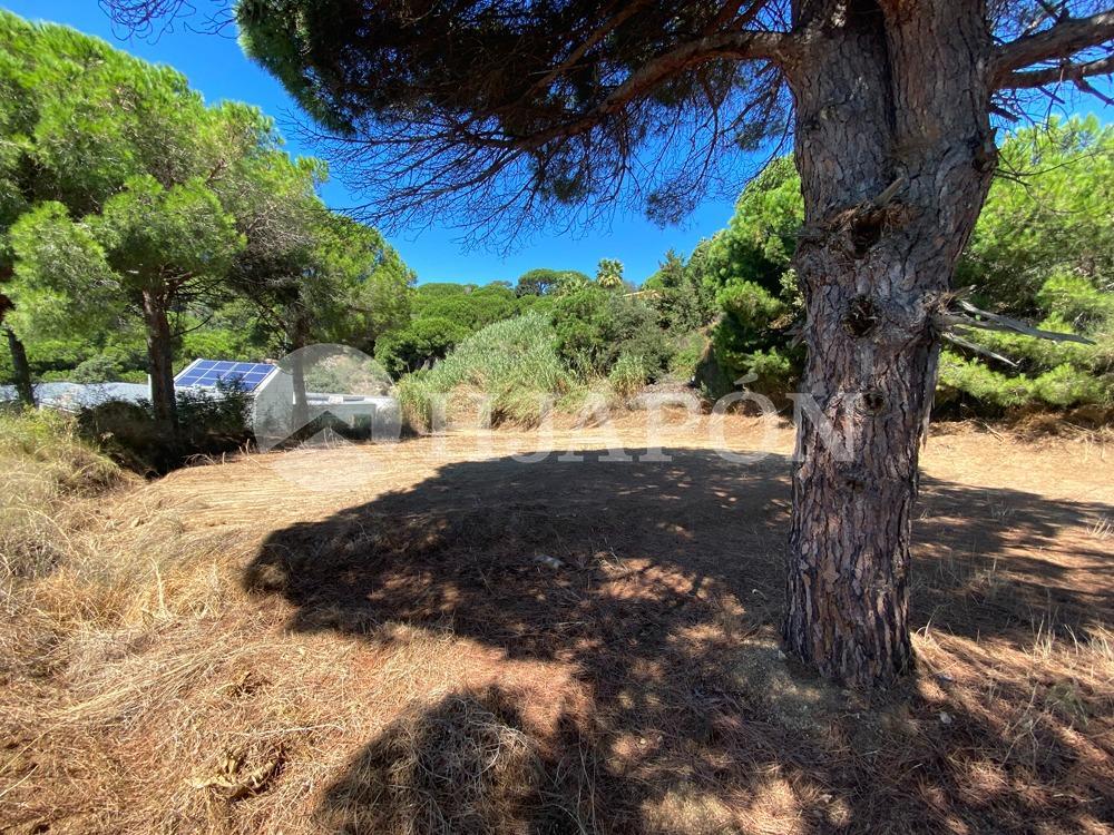 Plot for Sale in Sant Vicenç de Montalt