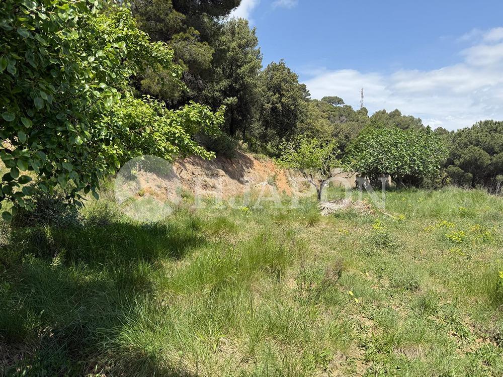 Parcela en Venta en Vallromanes