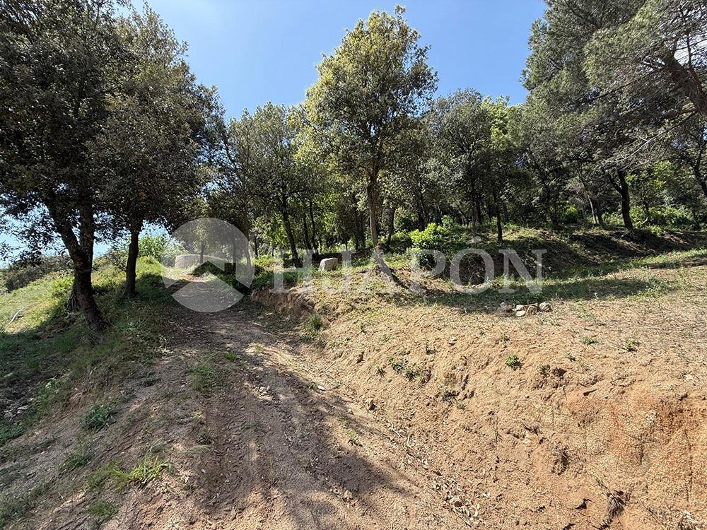 Parcela en Venta en Vallromanes