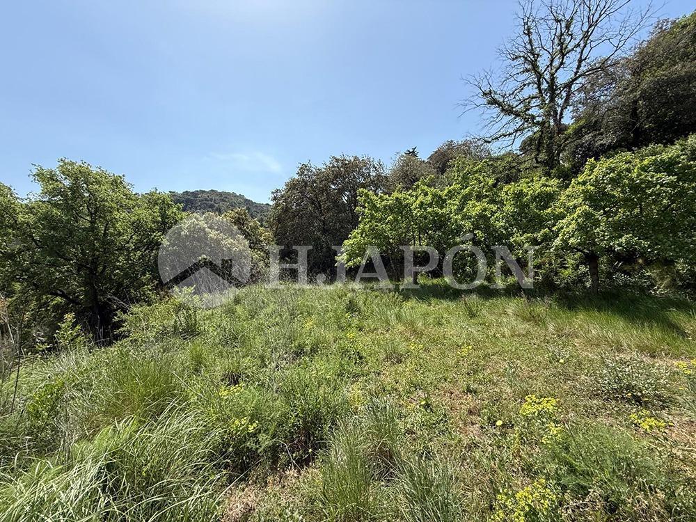 Plot for Sale in Vallromanes