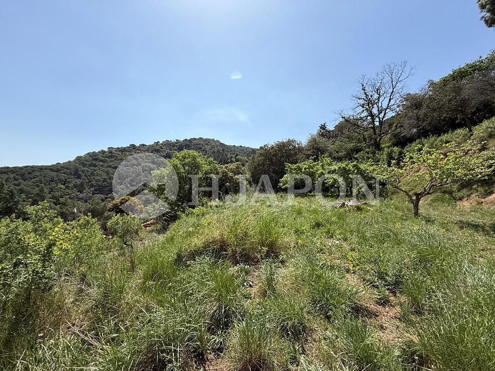 Plot for Sale in Vallromanes