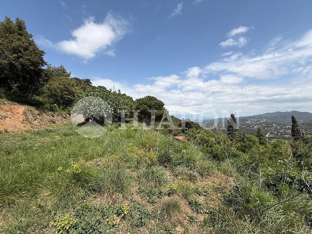 Plot for Sale in Vallromanes
