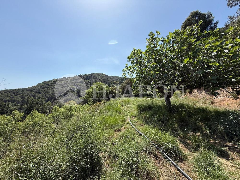 Plot for Sale in Vallromanes