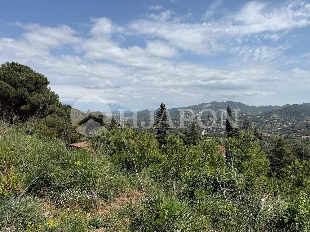 Plot for Sale in Vallromanes