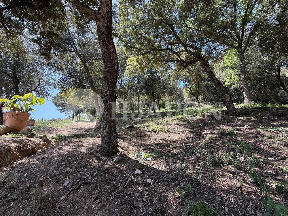Plot for Sale in Vallromanes