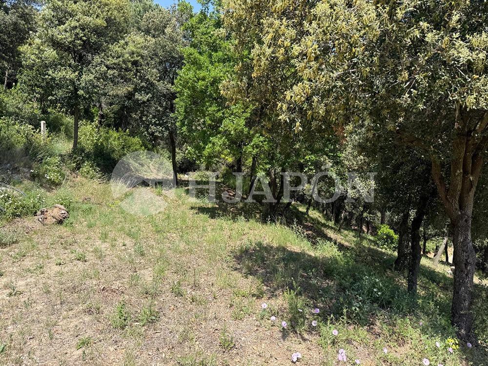 Plot for Sale in Vallromanes