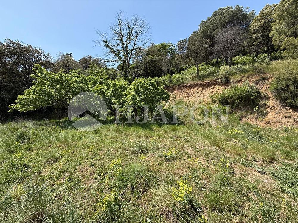 Plot for Sale in Vallromanes