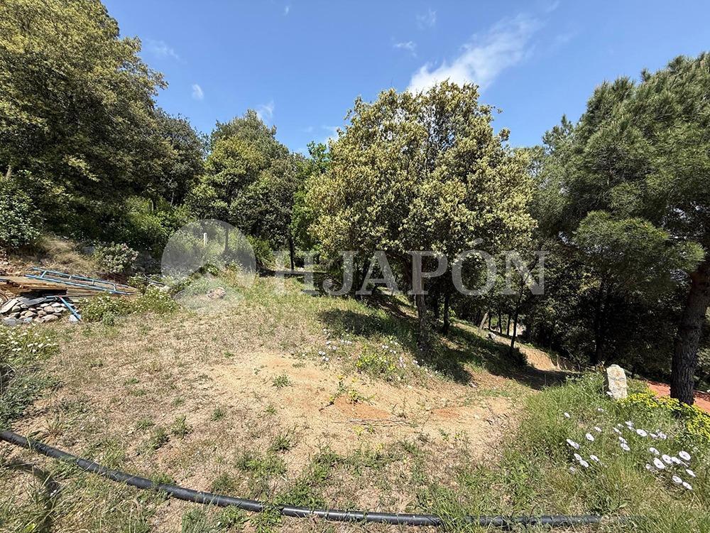 Plot for Sale in Vallromanes