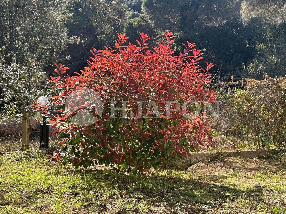 Casa en Venta en Alella