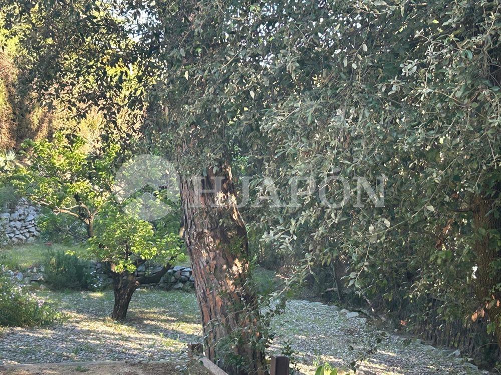 Casa en Venta en Alella