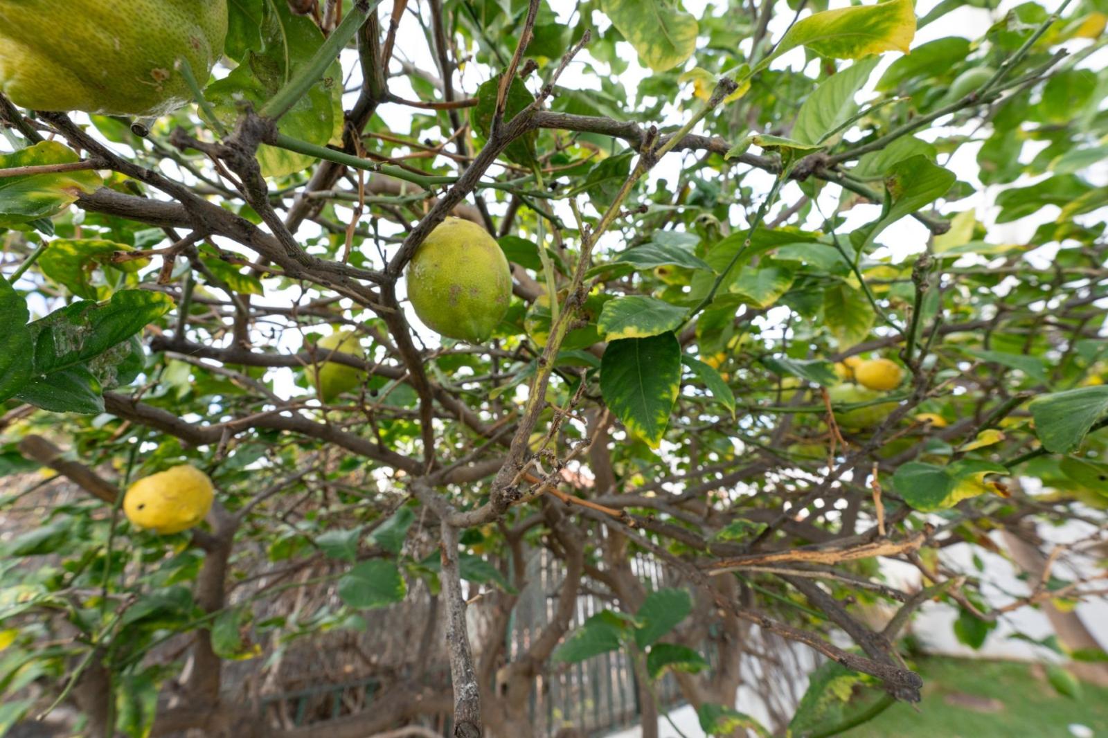 Adosado en Venta en Adeje
