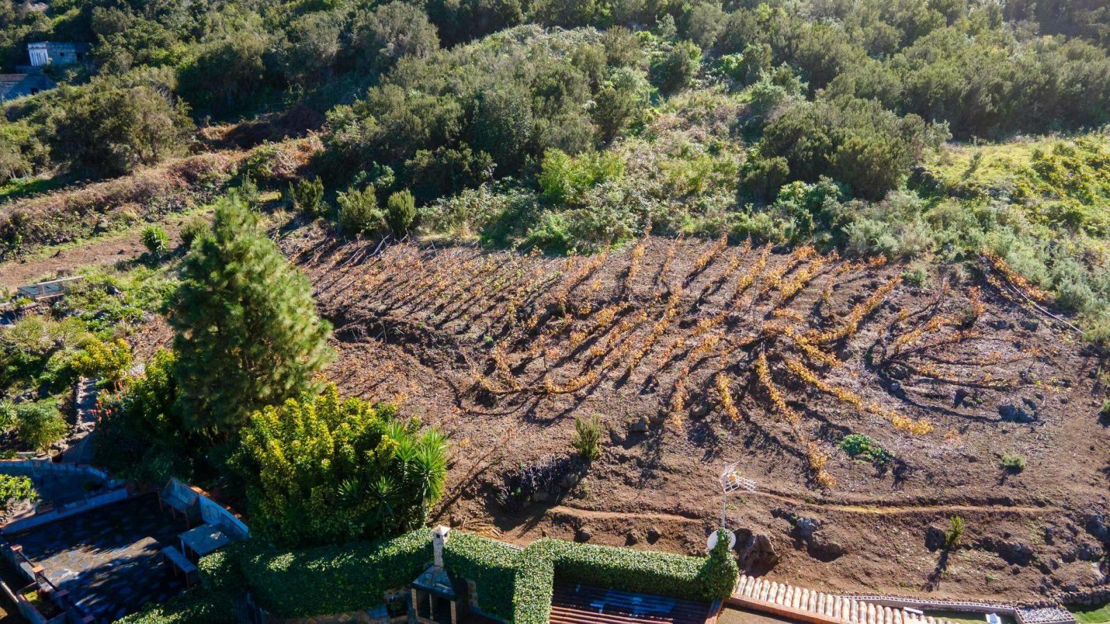 Villa en Venta en La Orotava