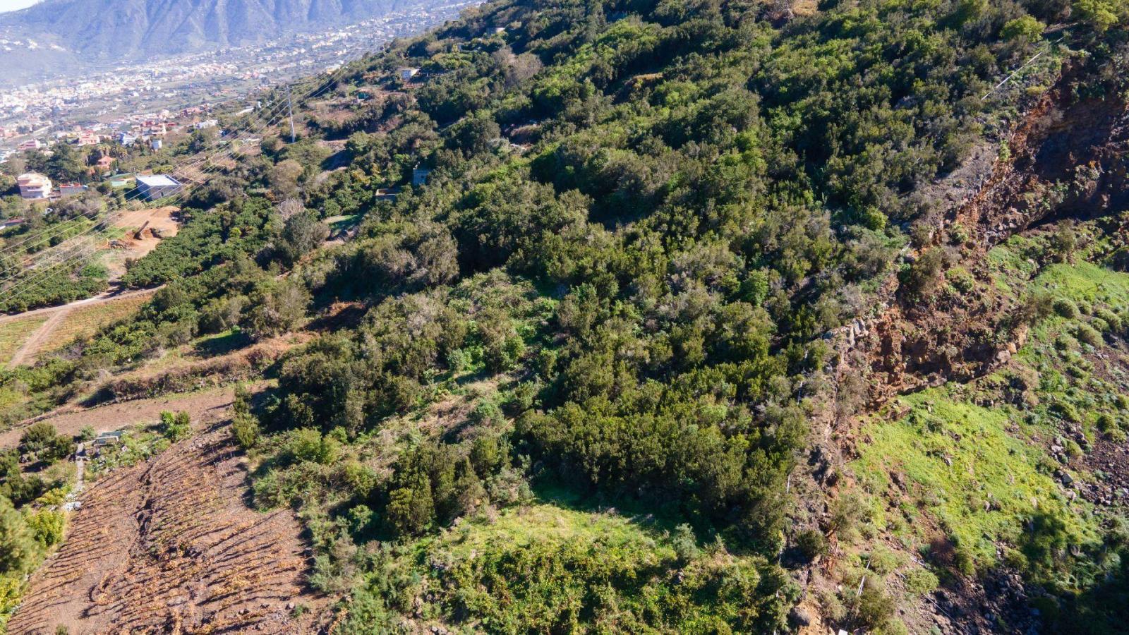 Villa en Venta en La Orotava