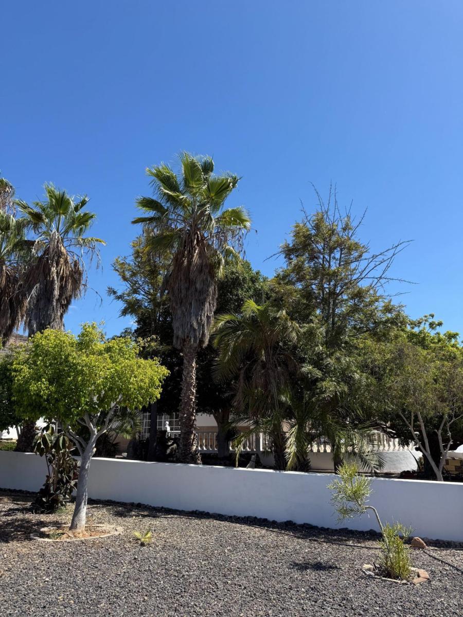 Villa for Sale in Guía de Isora