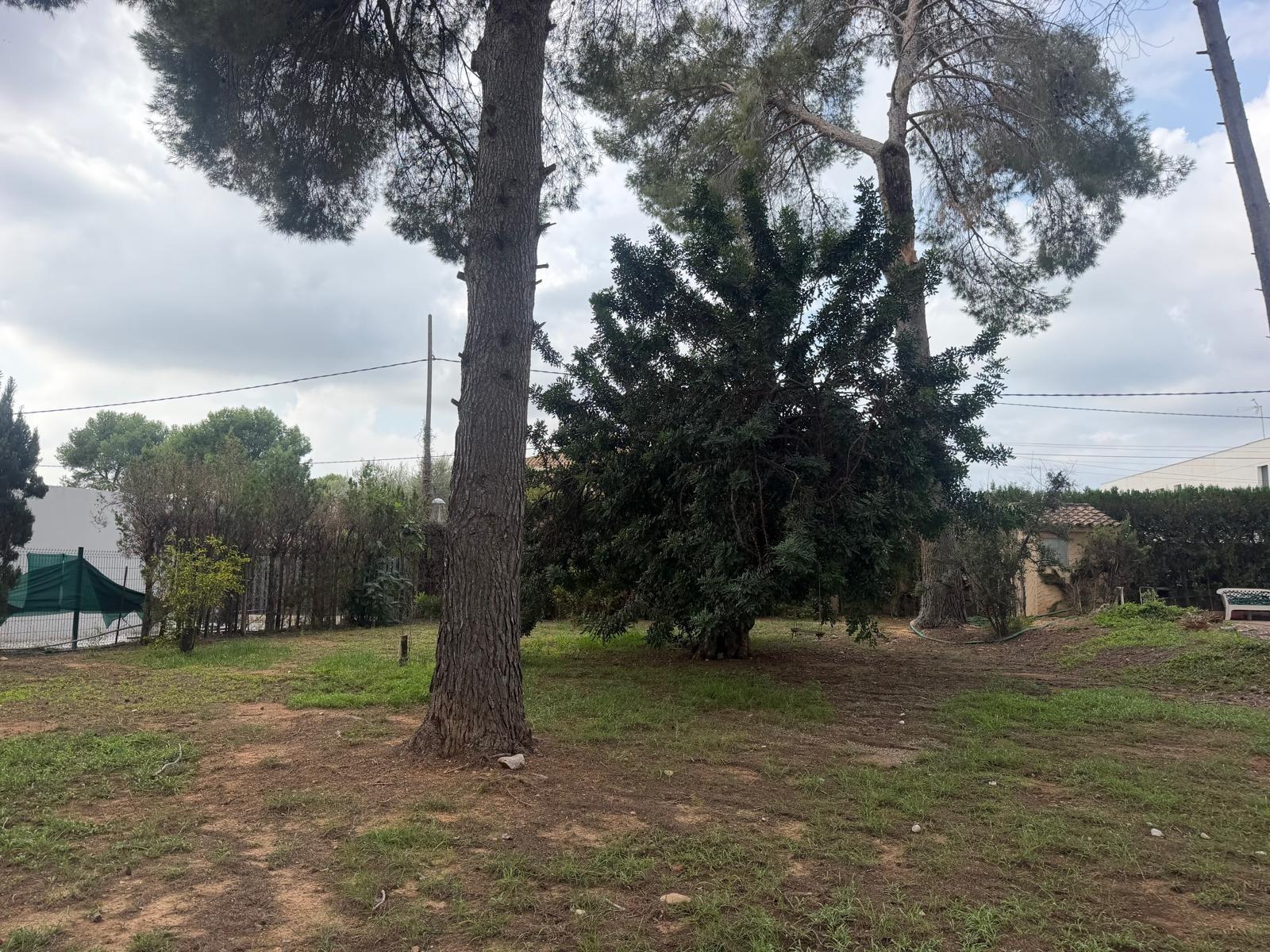 Plot for Sale in Paterna