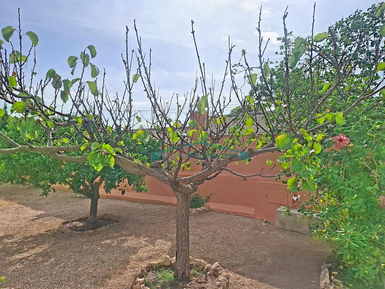 Chalet for Sale in Alfaz del Pi