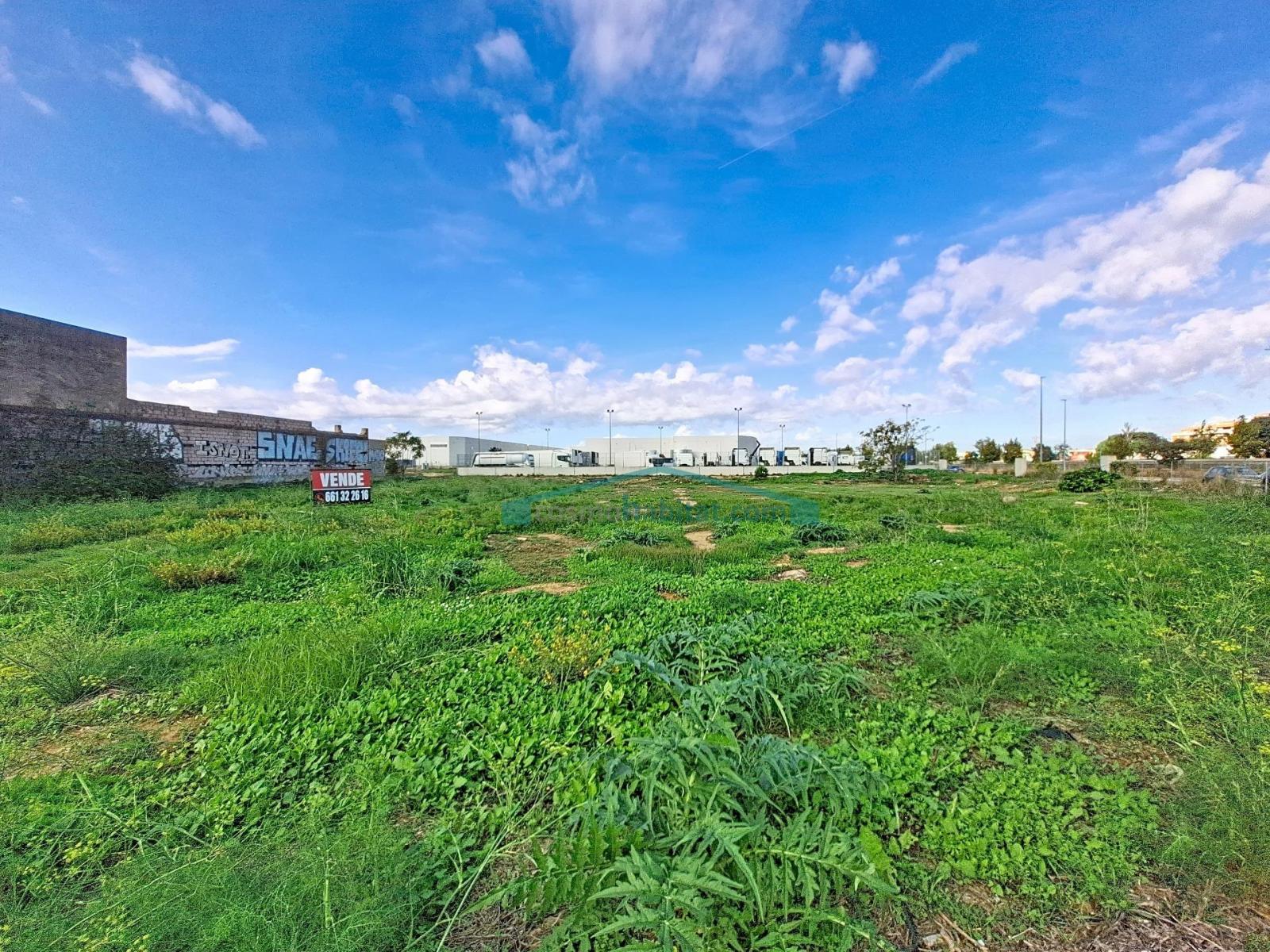 Plot for Sale in Albal