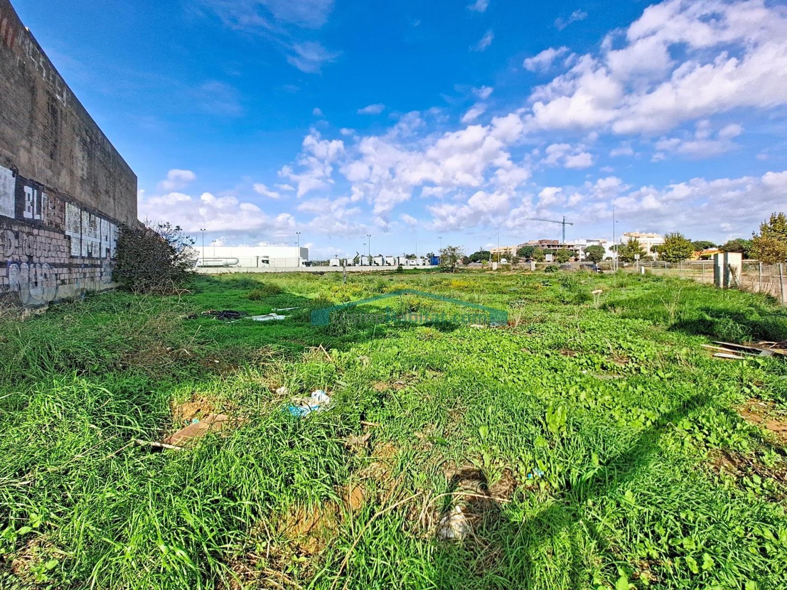 Plot for Sale in Albal