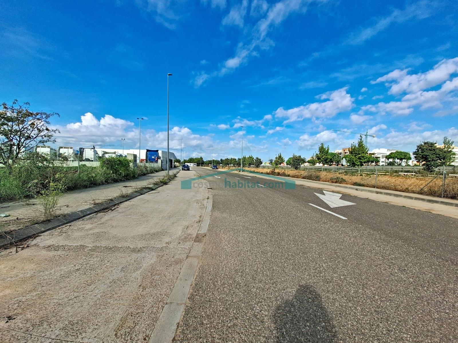 Plot for Sale in Albal