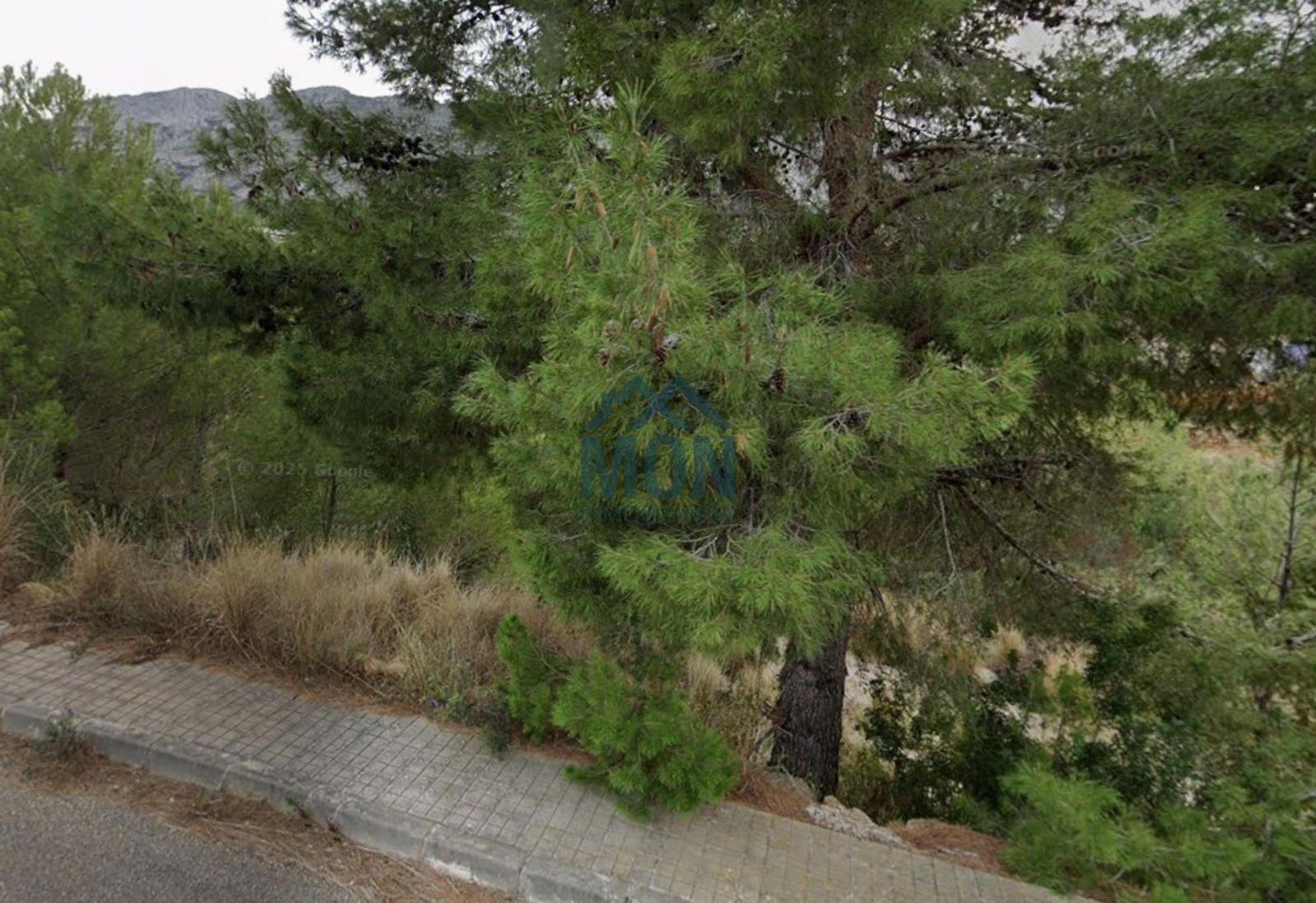 Building Site for Sale in Dénia