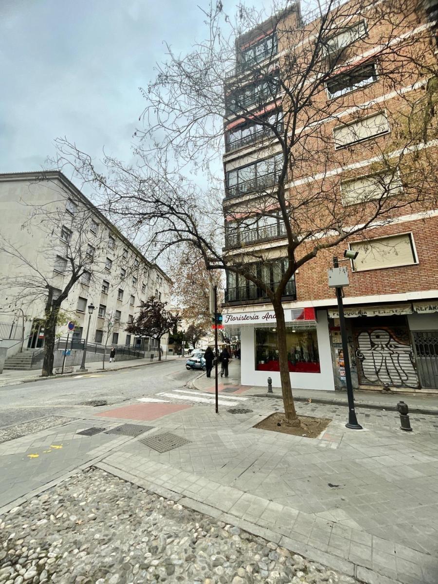 Flat for Sale in Granada
