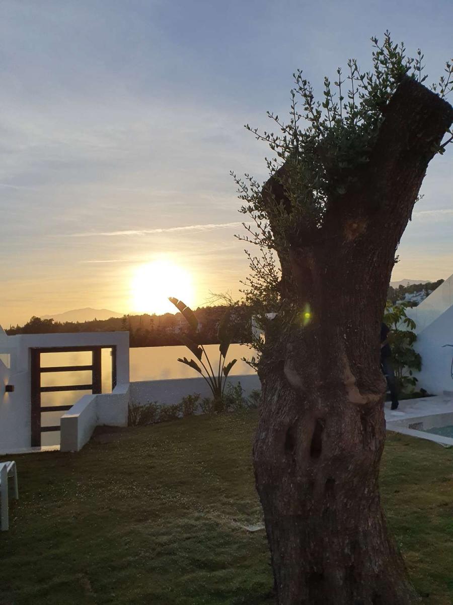 Villa for Sale in Marbella